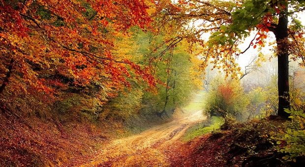 Foliage nelle Marche: il cambio colore delle foglie in autunno