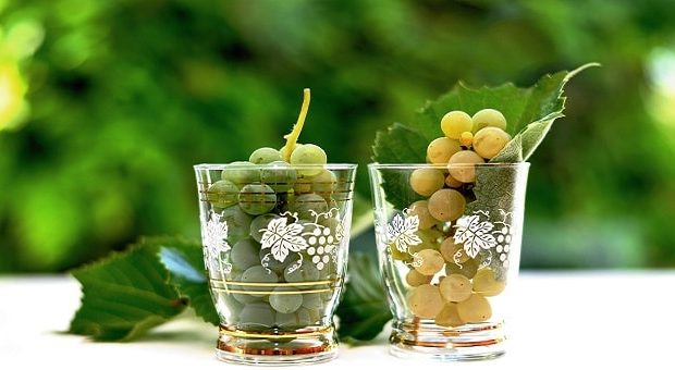 Feste del vino e dell'uva 2019 nelle Marche